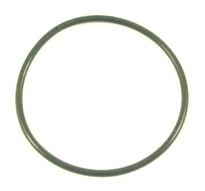 Spring Seat O-Ring